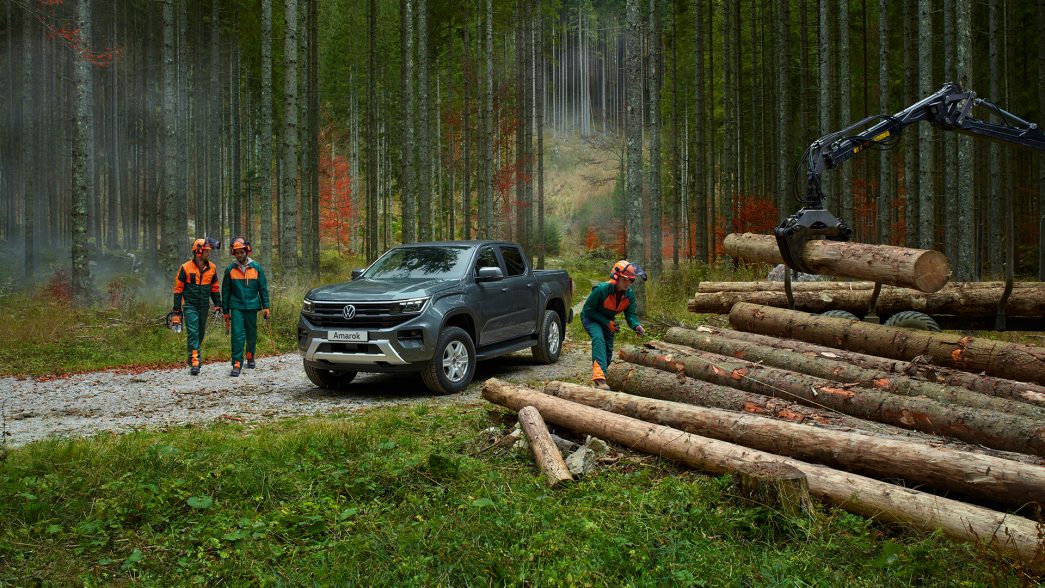 An Amarok at forestry workers in the forest.