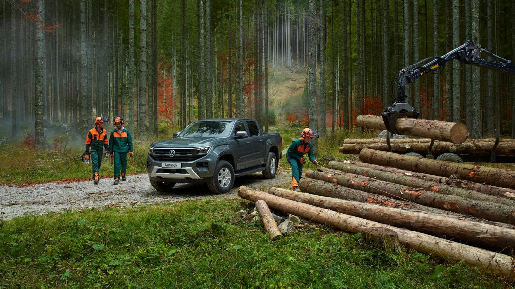 Ein Amarok bei Forstarbeiter im Wald.