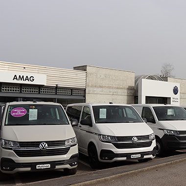 amag-vernier