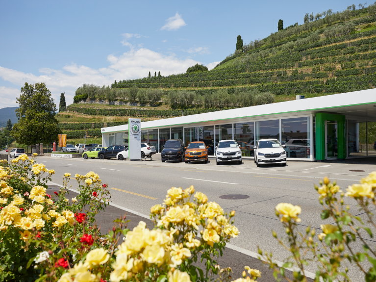 Mann und Frau bei Arbeit in Werkstatt