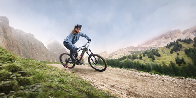 Audi electric mountain bike